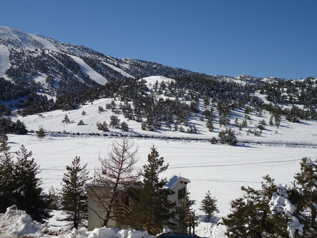 Apartment Face Aux Pistes Greolieres les Neiges Room photo